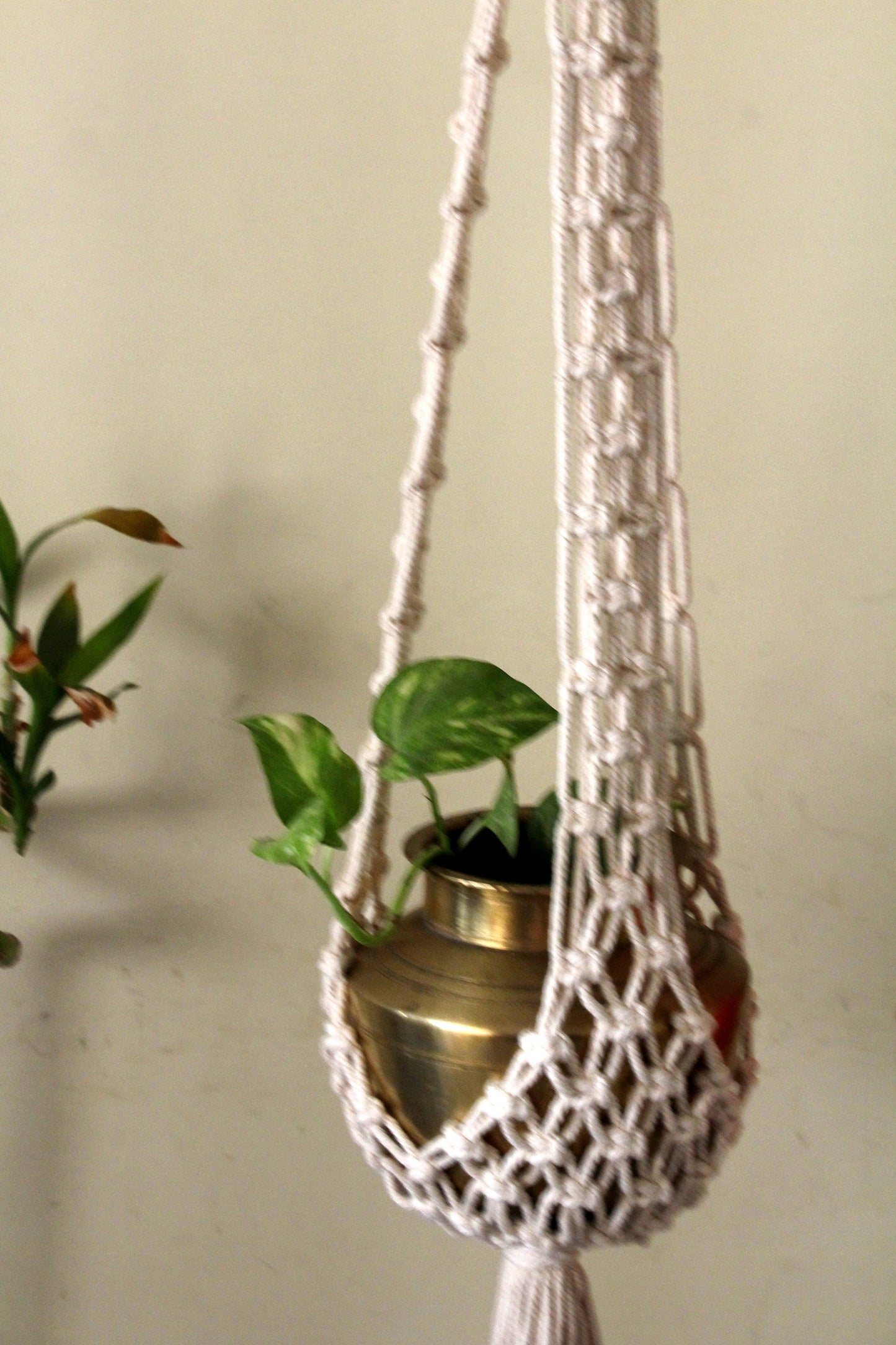 Boho Macrame Plant Hanger | Retro Style