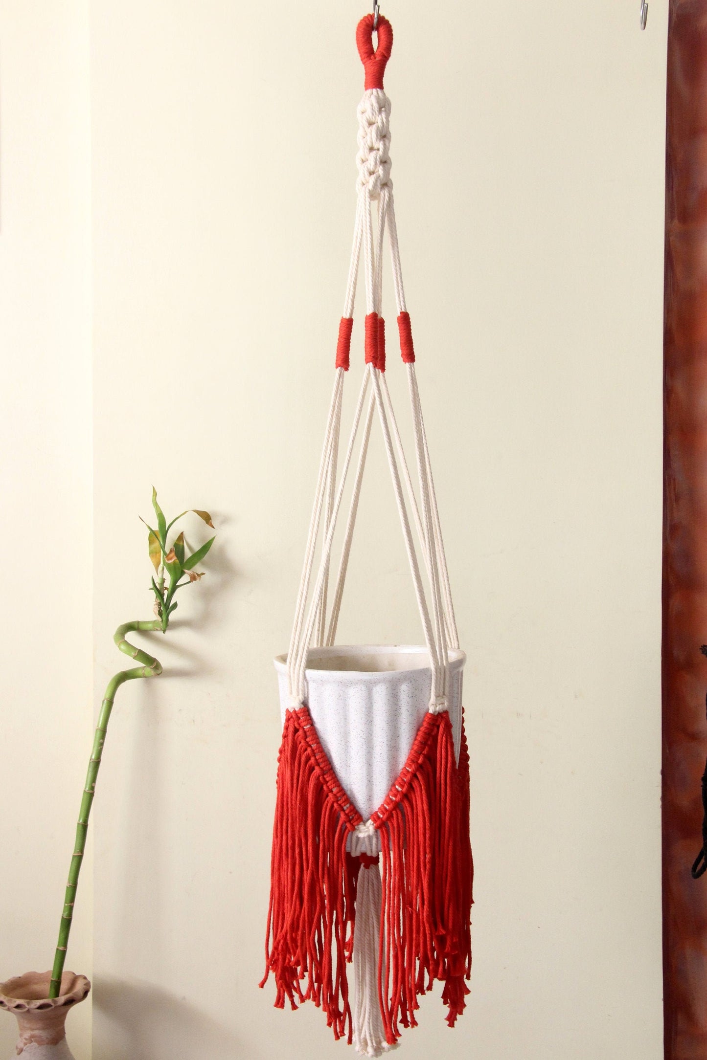 Macrame Plant Hanger | Fringe