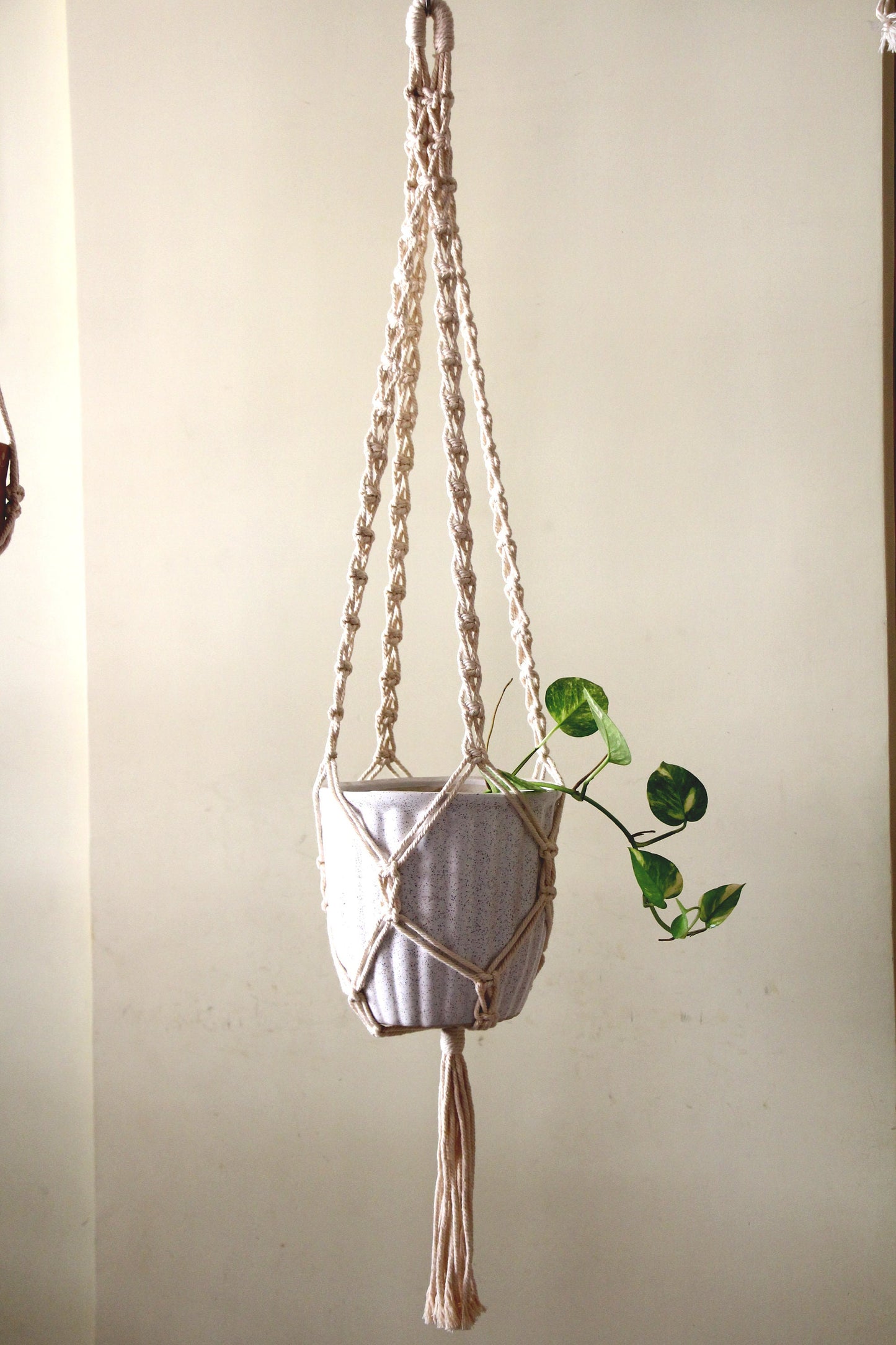 Macrame Plant Hanger | Long