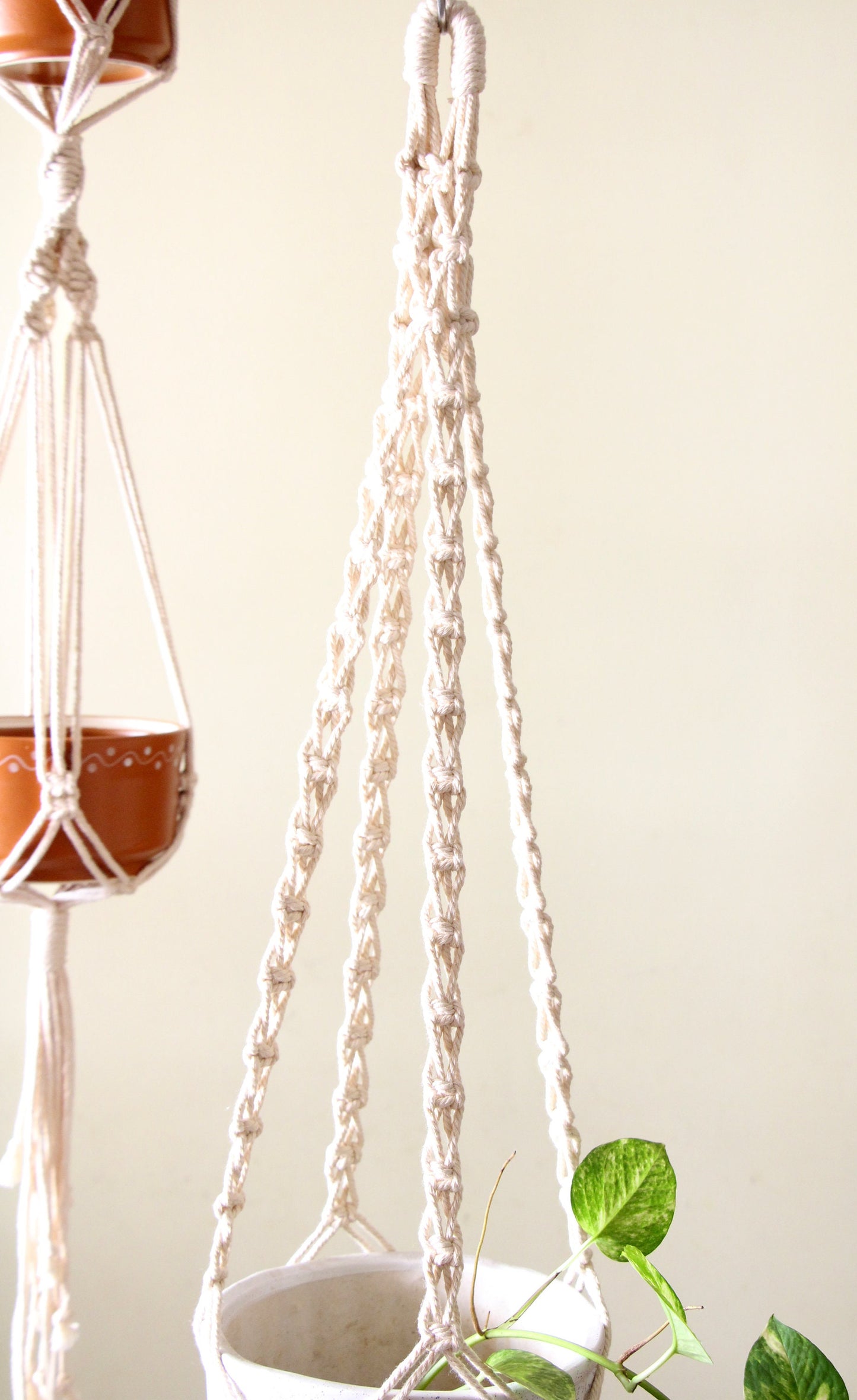 Macrame Plant Hanger | Long